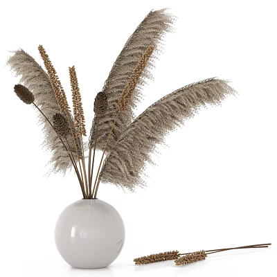 White Ceramic Vase With Dried Feathery Plumes Spike Stems And Round Seed Heads 3d model