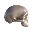 Silver Metallic Skull Sculpture With Polished Surface And Detailed Features 3d model