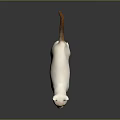 White Cat With Blue Eyes And Orange Tail Standing On Dark Background 3d model