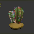 Two Green Spiky Cactus Plants Growing On Yellow Sandy Base With Gray Background 3d model