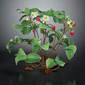 Fresh Strawberry Plant with Green Leaves White Flowers and Red Fruits