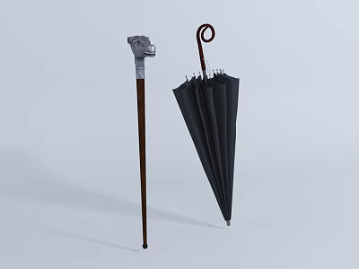 Practical Daily Life Essentials Wooden Cane With Decorative Handle And Black Umbrella 3d model