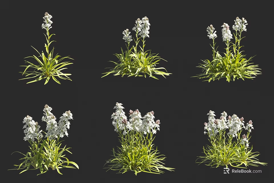 White Flower Blooms With Lush Green Leaves In Different Arrangements And Natural Clusters 3d model 