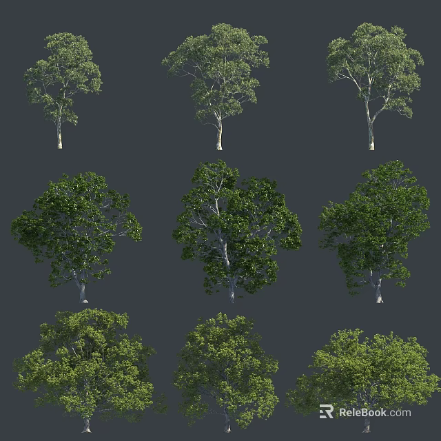 Various Arbor Collection With Green Foliage And Different Crown Shapes 3d model