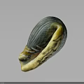 Detailed Anatomical View of Shell Organ Structure with Hair Like Textural Features