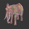 Realistic Elephant 3D Model With Long Tusks Large Ears And Trunk On Black Background