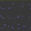 Flying Animals Golden Silhouettes of Various Bird Species in Different Poses