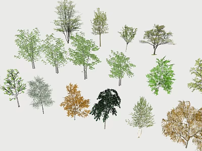 Various Types of Arbor Trees with Seasonal Foliage Colors and Natural Shapes 3d model