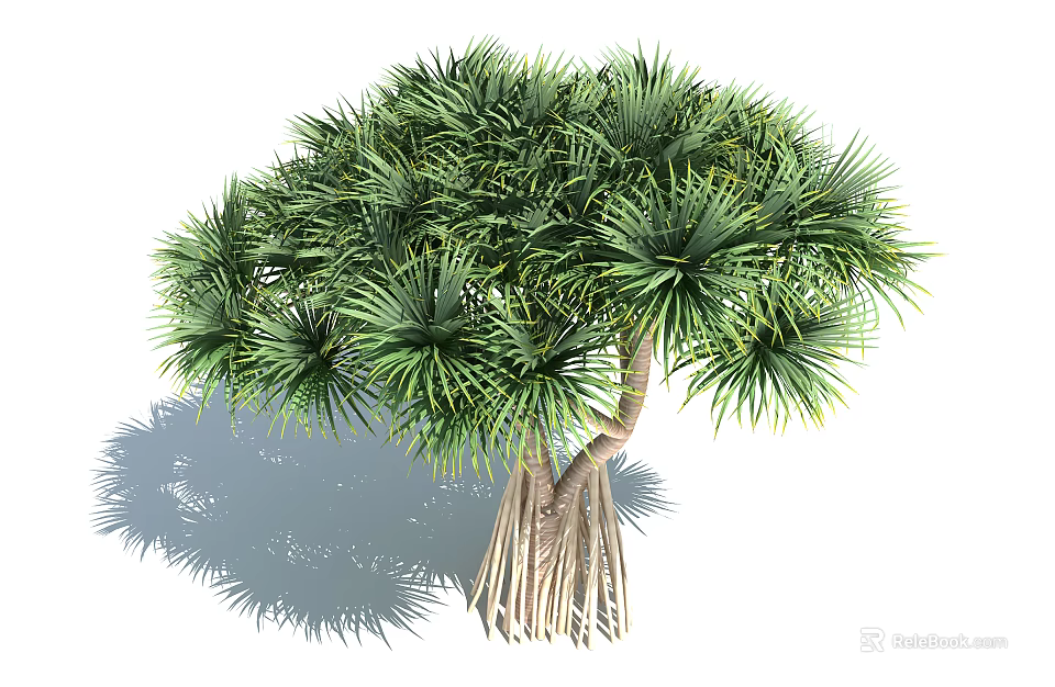 Lush Green Tree With Dense Foliage And Exposed Root System In Natural Setting 3d model