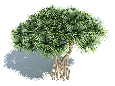 Lush Green Tree With Dense Foliage And Exposed Root System In Natural Setting 3d model