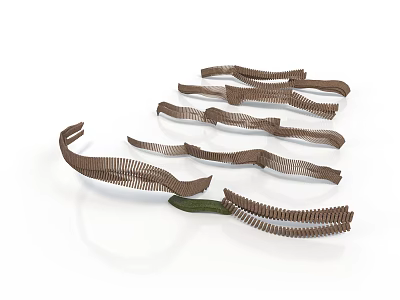 Curved Brown Organ And Hair Structures With Striped Patterns And Textured Surfaces 3d model