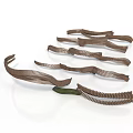 Curved Brown Organ And Hair Structures With Striped Patterns And Textured Surfaces