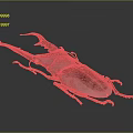 3D Rendered Horned Beetle with Large Curved Horns and Metallic Shell on Dark Background