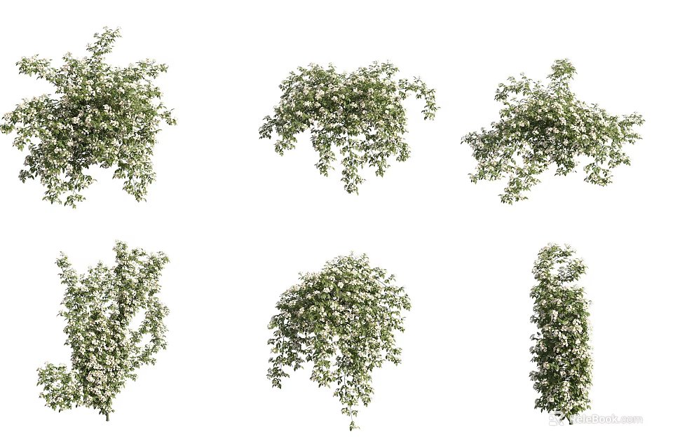 Beautiful Green Plants with Small White Flowers in Various Natural Forms 3d model 