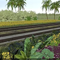 Stepped Road Infrastructure With Palm Trees Green Vegetation And Yellow Flowers