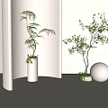 Two Bonsai Potted Plants In White Vase And Sphere Decor For Bright Interior