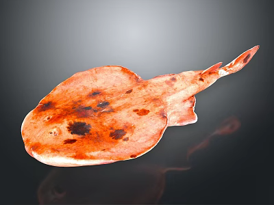 Orange Red Ray with Flat Body and Dark Spots on Black Background Showing Reflection 3d model