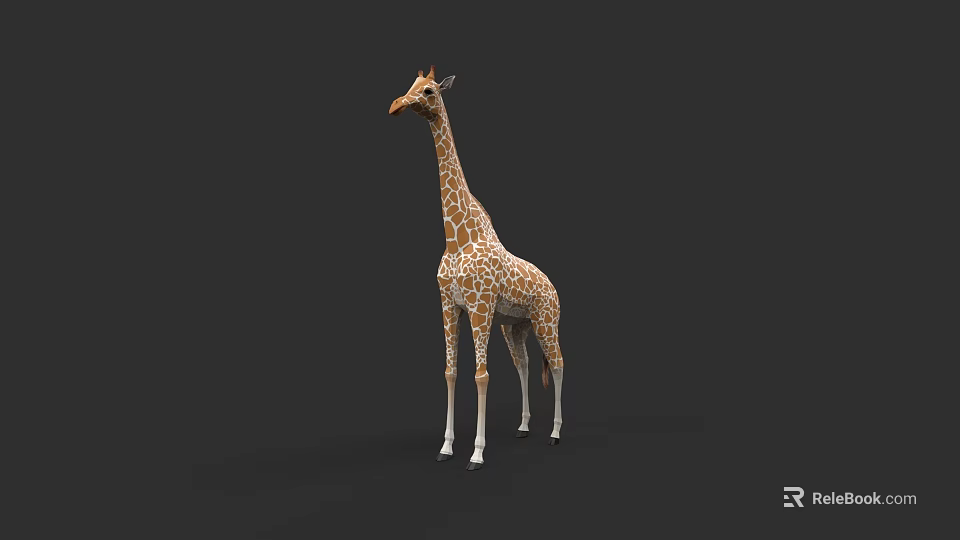 Tall Spotted Giraffe Standing With Long Neck And Legs In Wildlife View 3d model 