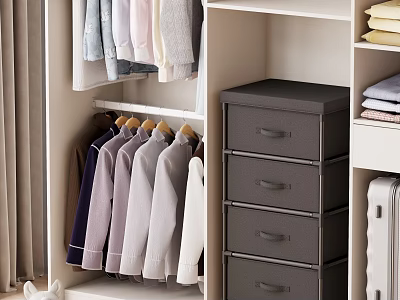 Organized Walk-in Closet With Hanging Shirts Coats Multiple Drawer Storage Boxes And Folded Clothes 3d model