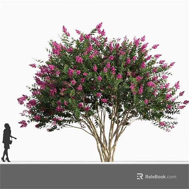 Lush Flowering Arbor with Pink Blossoms Green Leaves and Human Silhouette 3d model 