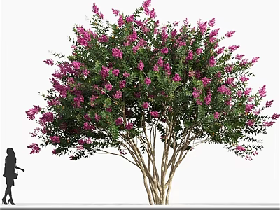 Lush Flowering Arbor with Pink Blossoms Green Leaves and Human Silhouette 3d model