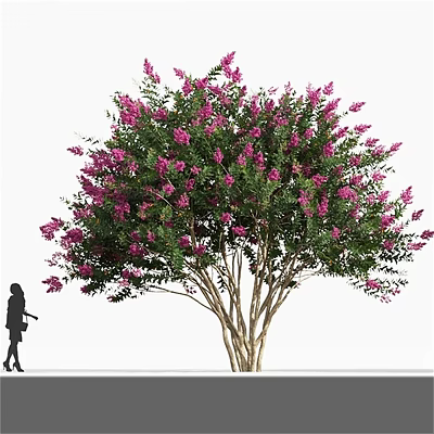 Lush Flowering Arbor with Pink Blossoms Green Leaves and Human Silhouette 3d model