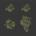 Natural Green Bushes And Small Trees On White Background With Various Sizes And Shapes