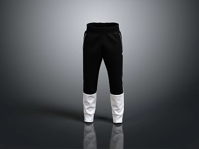 Stylish Black And White Color Block Track Pants 3d model