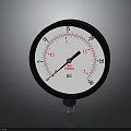Precision Pressure Gauge Featuring Round Dial Black Bezel White Face And PSI Scale