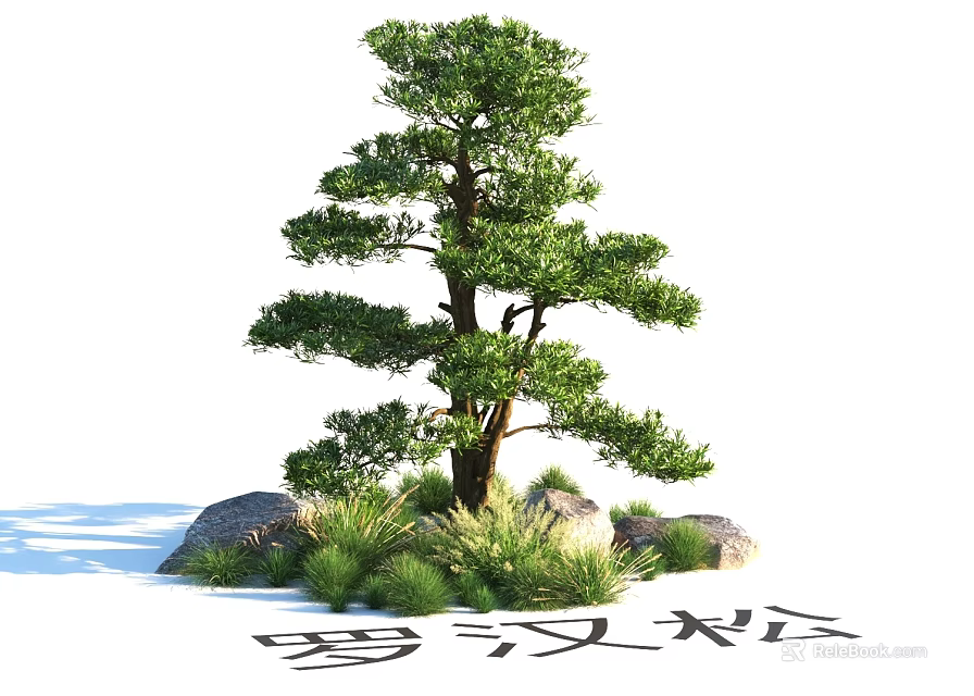 Garden Landscape Featuring Podocarpus Tree With Rocks And Green Foliage 3d model 