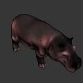 Realistic Black Hippopotamus Standing In Natural Green And Yellow Background