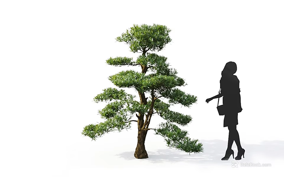 Graceful Arbor with Lush Green Pine Foliage and Spreading Branches Next to Standing Female Silhouette 3d model 