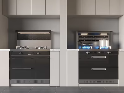 Modern Kitchen Appliances With Two Black Built In Stoves Range Hoods White Cabinets Gray Countertops 3d model