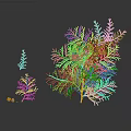 Leafy Green Plants Of Different Sizes With Small Orange Fruits On Dark Background With Reflections
