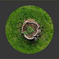 Wooden Tree Stump Surrounded By Circular Green Grass With Small Plants Growing