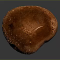 Brown Mushroom With Textured Surface And Short Stem On Gray Background Showing Clear Reflection 3d model