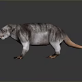 Realistic 3D Model of Striped Wild Boar Like Animal With Brown Ears And Claws