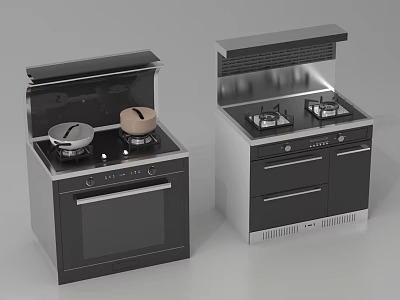 Modern Kitchen Appliances Integrated Cooker With Stove And Oven Two Models 3d model