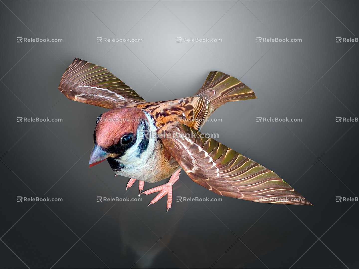 Modern Birds Birds 3d model