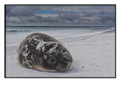 Scenic Landscape Painting Featuring Seal Lying On Sandy Beach With Ocean And Cloudy Sky 3d model