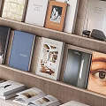 Stylish Books And Magazines Display On Shelves 3d model