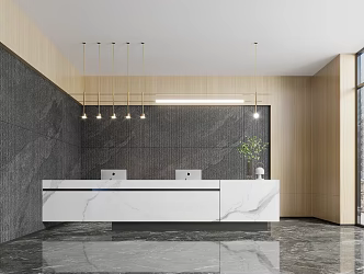 Modern Front Desk 3d model