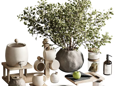 Natural Style Decorative Ornament Set With Ceramic Vases Wooden Trays And Green Plant 3d model