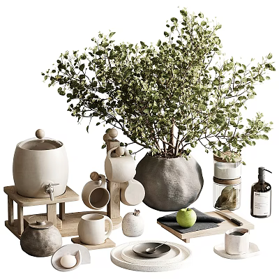 Natural Style Decorative Ornament Set With Ceramic Vases Wooden Trays And Green Plant 3d model