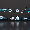 Aquatic Animals Sharks Showing Various Underwater Swimming Poses And Open Mouths