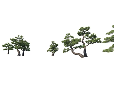 Various Shaped Pine Trees Featuring Curved Branches For Outdoor Garden Landscaping 3d model