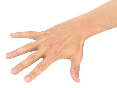 Human Hand With Stretched Fingers And Natural Skin Texture Isolated On White Background 3d model