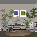 Modern Style Potted Bonsai Plants In Indoor Living Room Interior With Decorative Paintings And Furniture