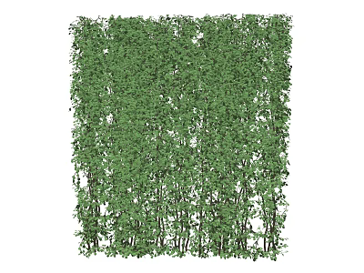 Lush Green Vines Forming Dense Decorative Garden Wall With Foliage 3d model