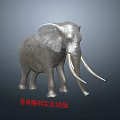 Realistic 3D Elephant Model With Detailed Skeleton Rigging And Animation 3d model